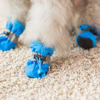 Waterproof Dog Boots for Small Dogs – Set of 4 with Non-Slip Rubber Sole